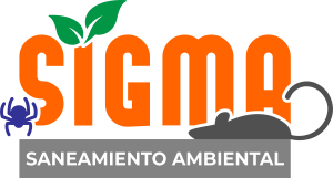 WEB Logo-11